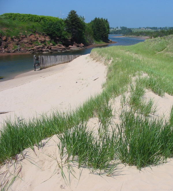 Basin Head Beach inlet